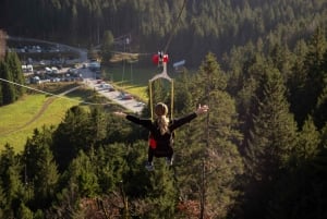 Munich : Neuschwanstein castel & Austria , private tour.
