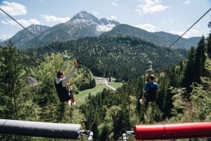 Munich : Neuschwanstein castel & Austria , private tour.