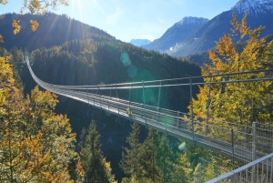 Munich : Neuschwanstein castel & Austria , private tour.