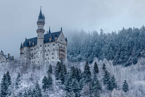 München - Neuschwanstein Slot + Linderhof Privat tur