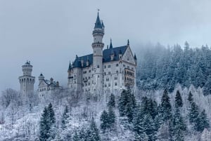 München: Privat omvisning i slottet Neuschwanstein med mer