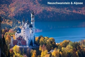 Munich : visite privée du château de Neuschwanstein avec guide