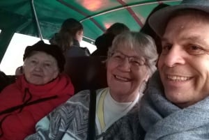 Monaco di Baviera: Tour del castello di Neuschwanstein