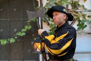 Munich : Visite nocturne de la vieille ville à pied