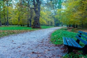 Munich: Nymphenburg Palace Skip-the-Line Private Guided Tour