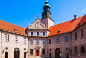 Tour del Castello di Nymphenburg e del Museo delle Carrozze a Monaco con accesso rapido