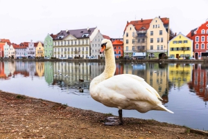 Munich Old Town Tour with the True Story of Albert Einstein