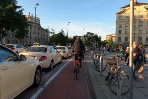 München: Privat Highlights Tour i bil - Privat turguide