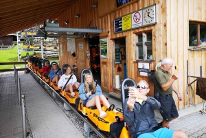 München: Privé dagtrip Neuschwanstein & Slot Linderhof