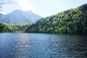 München: Privé dagtrip Neuschwanstein & Slot Linderhof