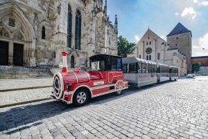 München: Privétour met de auto naar Regensburg - een middeleeuwse stad