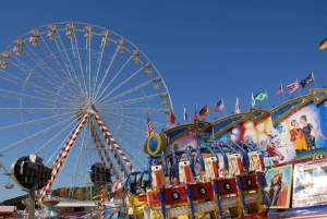 Munich:REGENSBURG MEDIEVAL BEAUTY-PRIVATE GUIDED TOUR BY CAR