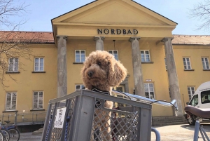 Munich: Schwabing District Self-guided Neighbourhood Walk