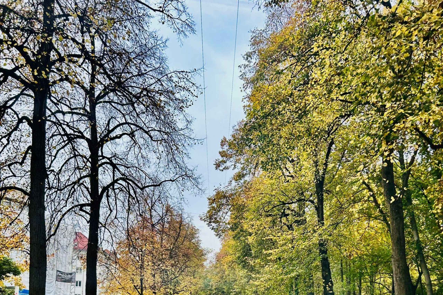 Munich Sightseeing Tour by Car