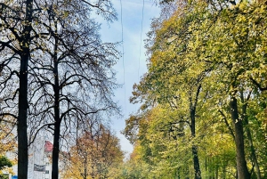 Munich Sightseeing Tour by Car