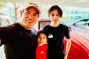 Munich Sightseeing Tour by Car