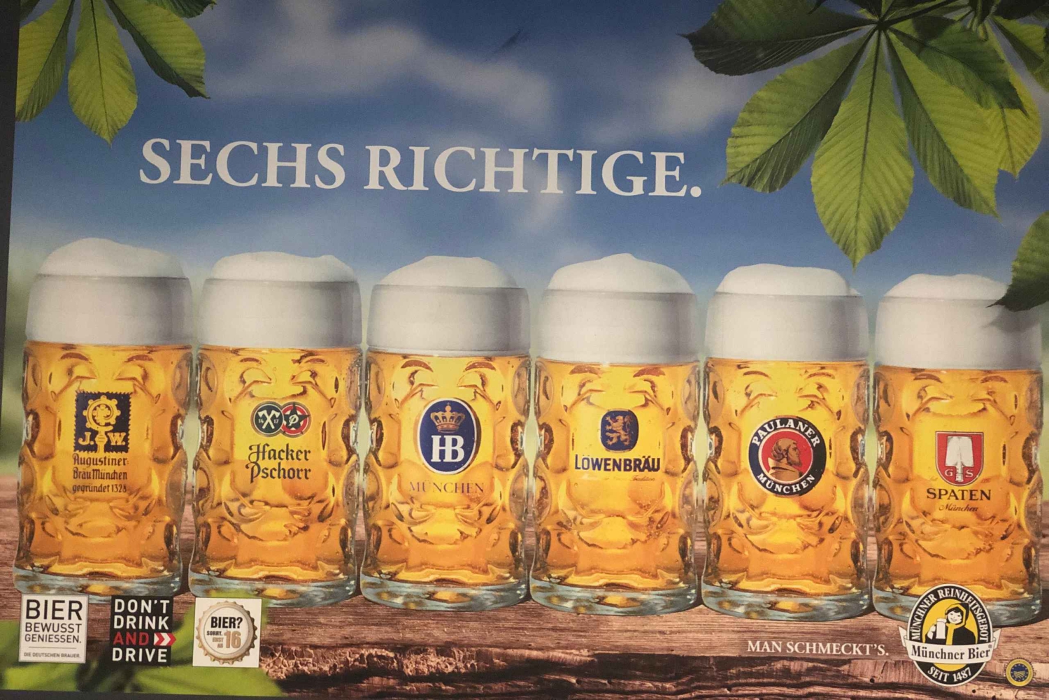 Especiais de Munique (escolhe!): OldTown, Dachau, 10Tastes, Spooky