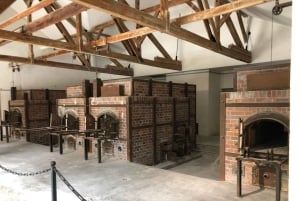 Munich Specials (choose!): OldTown, Dachau, 10Tastes, Spooky