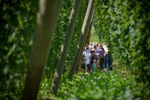 Munich: The Bavarian Hop Tour - The Hallertau Private Tour