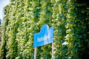 Munich: The Bavarian Hop Tour - The Hallertau Private Tour