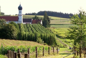 Munich: The Bavarian Hop Tour - The Hallertau Private Tour