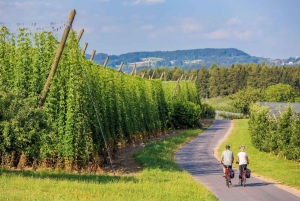 Munich: The Bavarian Hop Tour - The Hallertau Private Tour