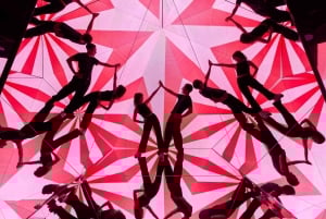 München: Billett WOW Museum – Room for Illusions