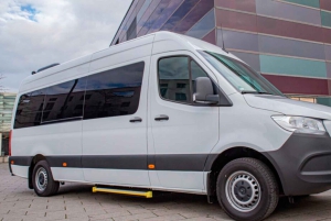 Munich: XXL Airport Transfer for Groups and bulky luggage