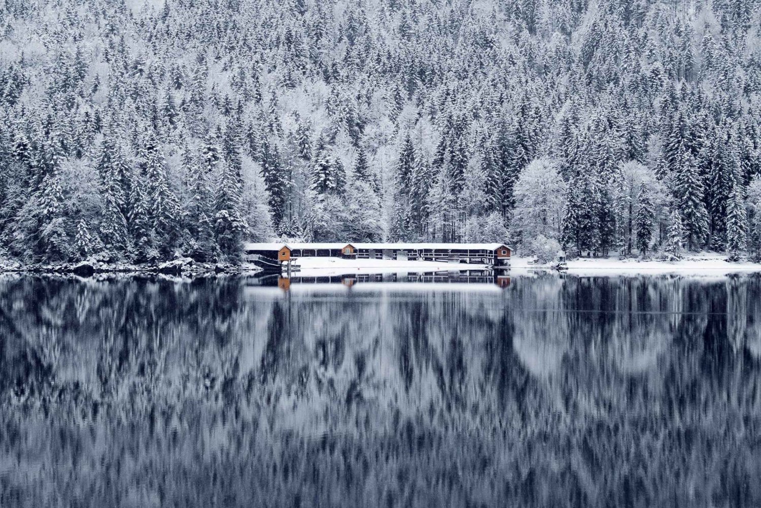 Munich: Zugspitze, Eibsee & Neuschwanstein + austria. privat