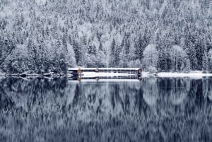München: Zugspitze, Eibsee ja Neuschwanstein + Itävalta. Yksityinen