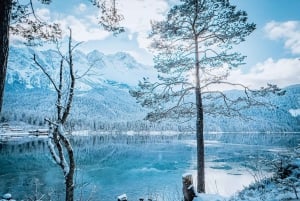 München: Zugspitze, Eibsee ja Neuschwanstein + Itävalta. Yksityinen