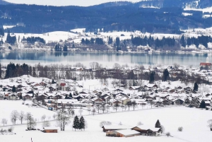 ミュンヘン発ノイシュヴァンシュタインとミュンヘン・クリスマス・マーケット・ツアー