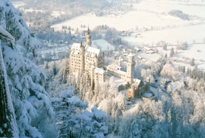 Neuschwanstein Castle Day Trip from Munich