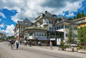 Neuschwanstein Castle: Private tour to suit your taste