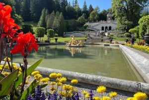 Neuschwanstein Tour Münchenistä Limusiini 3 henkilöä yksityisen kuljettajan kanssa