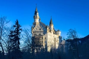 Tour di Neuschwanstein da Monaco di Baviera in van di lusso per 6 persone con autista privato