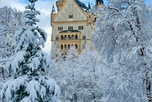 Tour di Neuschwanstein da Monaco di Baviera in van di lusso per 6 persone con autista privato