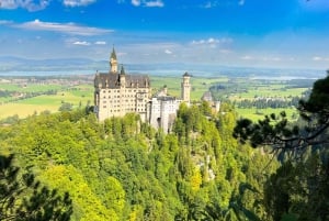 Tour di Neuschwanstein da Monaco di Baviera in van di lusso per 6 persone con autista privato