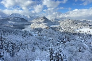 Tour di Neuschwanstein da Monaco di Baviera in van di lusso per 6 persone con autista privato