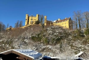 Tour di Neuschwanstein da Monaco di Baviera in van di lusso per 6 persone con autista privato
