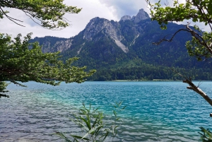 Prise en charge à Munich : randonnée à Neuschwanstein loin de la foule