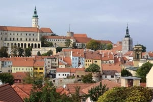 Prague: Private Transfer to Munich with Sightseeing + ticket