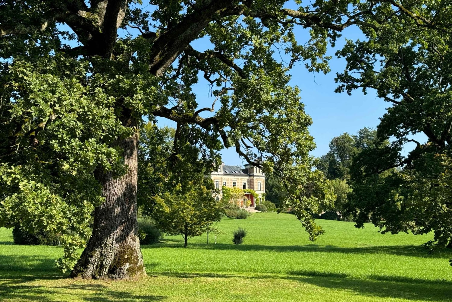 Tour particular de bicicleta à volta do Lago Starnberg com almoço bávaro