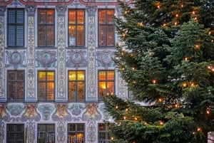 Conductor privado: De Múnich a Neuschwanstein y Landsberg am Lech