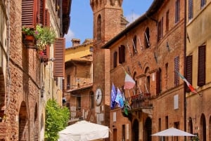 Excursion privée à Florence vers Pise, San Gimignano et Sienne