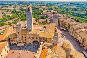 Private Florence day trip to Pisa, San Gimignano & Siena