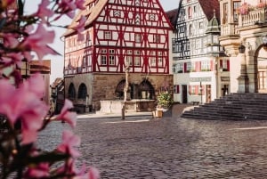 Yksityinen kiertomatka Münchenistä Rothenburg & Harburgiin ja takaisin