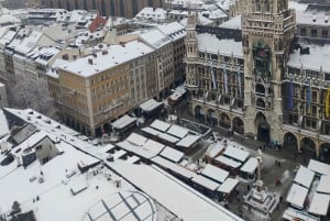 Private Walking Tour of Munich's Historic Center (in Spanish)