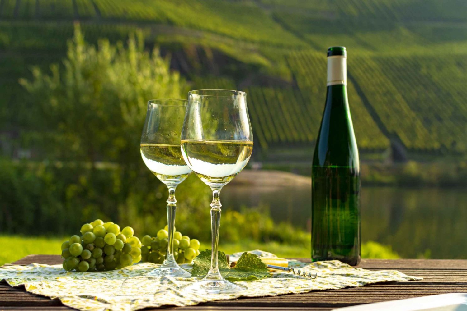 Visite privée de dégustation de vins à Munich avec un expert en vins