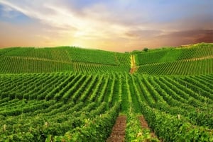 Privat vinprovningstur i München med en vinexpert